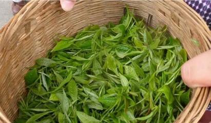 從茶臺到舞臺 30歲逆襲創業，借力煥唄成就富一代傳奇